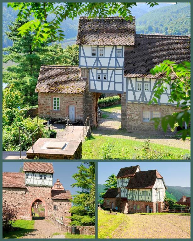 Schlosshotel Hirschhorn Dış mekan fotoğraf