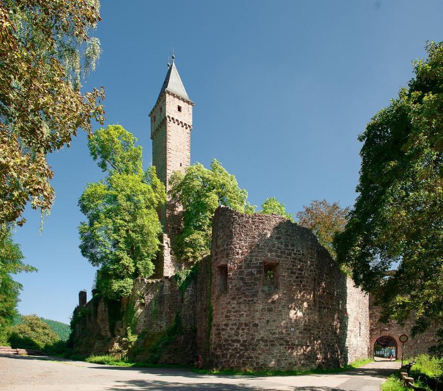 Schlosshotel Hirschhorn Dış mekan fotoğraf