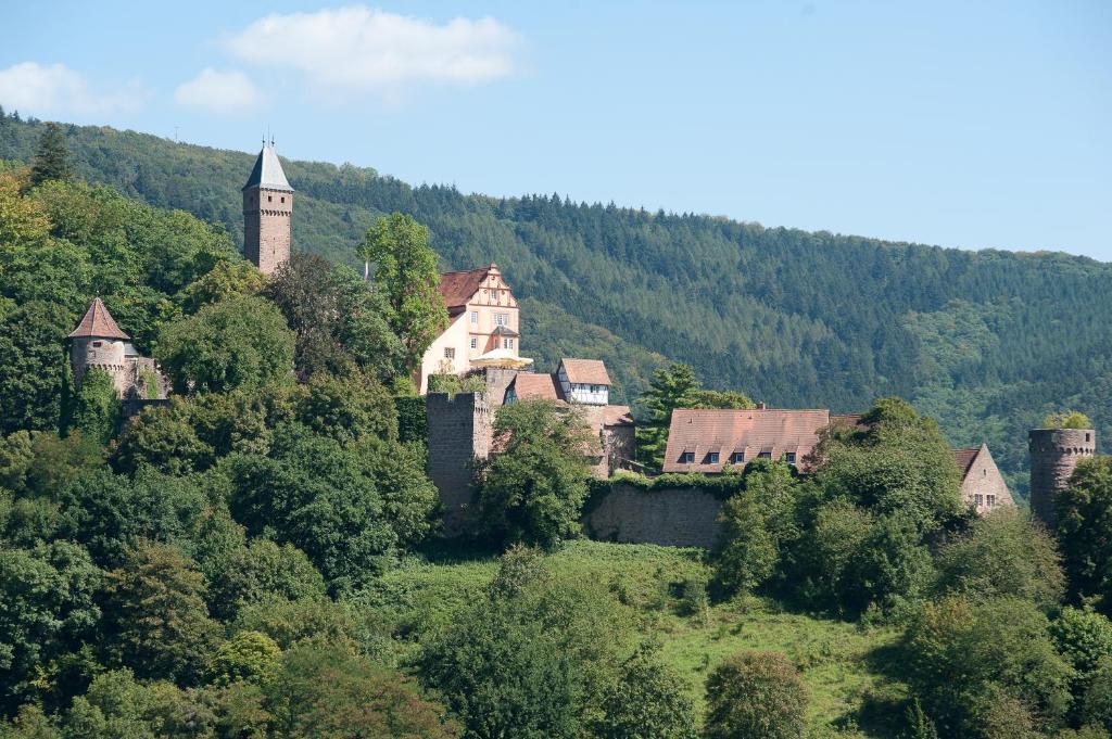 Schlosshotel Hirschhorn Dış mekan fotoğraf