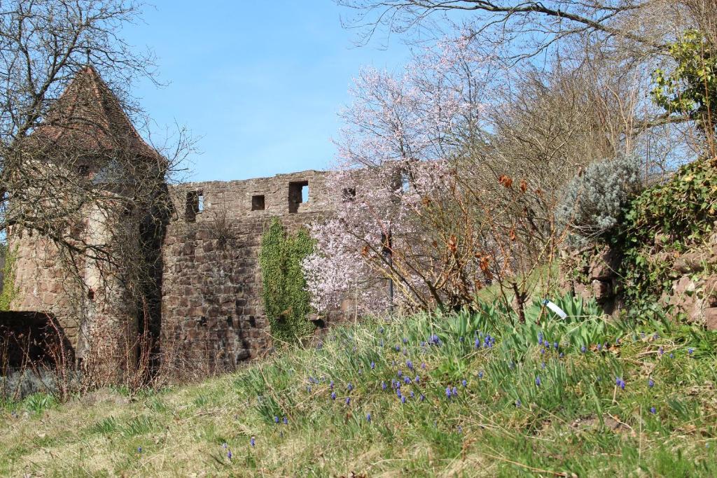 Schlosshotel Hirschhorn Dış mekan fotoğraf